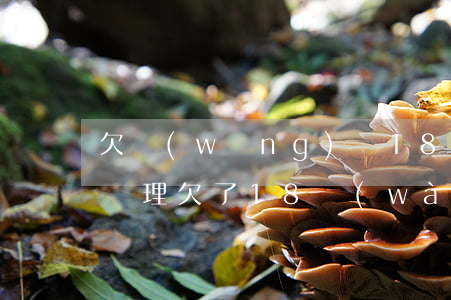欠網(wǎng)貸18萬(wàn)怎么處理(欠了18萬(wàn)網(wǎng)貸,我該怎么辦)