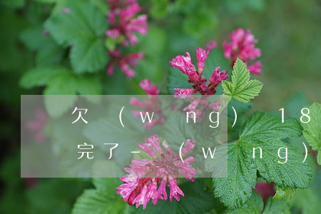 欠網(wǎng)貸18萬是不是一輩子都完了-網(wǎng)貸欠了18萬,算不算多