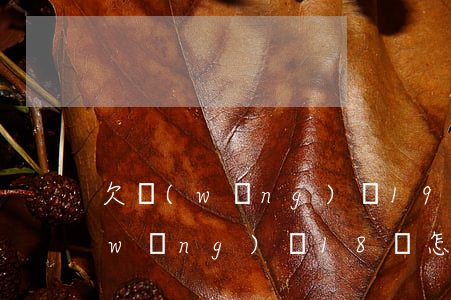 欠網(wǎng)貸19萬怎么處理(欠網(wǎng)貸18萬怎么辦)