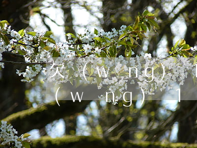 欠網(wǎng)貸1個月會被起訴嗎(欠網(wǎng)貸1萬多會被起訴嗎)