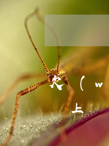 欠網(wǎng)貸1千多發(fā)信息說上門來催收(網(wǎng)貸欠了一千多會上門催收嗎)