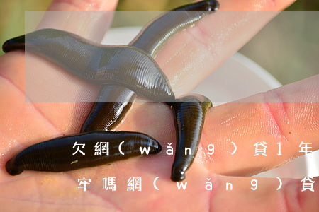 欠網(wǎng)貸1年多會(huì)坐牢嗎(網(wǎng)貸一年不還款會(huì)不會(huì)坐牢)