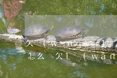 欠網(wǎng)貸1萬(wàn)不敢說怎么辦(欠1萬(wàn)網(wǎng)貸不敢跟家人說)