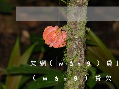 欠網(wǎng)貸1萬(wàn)催收(網(wǎng)貸欠一年多了現(xiàn)在沒(méi)催收了)