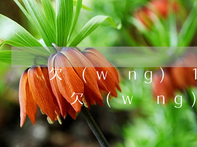 欠網(wǎng)貸1萬(wàn)元被起訴(欠網(wǎng)貸一千塊錢會(huì)被起訴嗎)