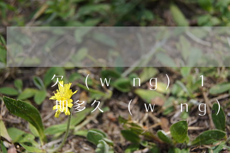 欠網(wǎng)貸1萬(wàn)可以逾期多久(網(wǎng)貸逾期一年半了)