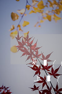欠網(wǎng)貸1萬(wàn)多還不上會(huì)坐牢嗎