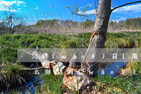 欠網(wǎng)貸1萬(wàn)我該怎么辦(欠網(wǎng)貸1萬(wàn)不還會(huì)怎樣)