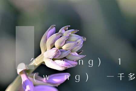 欠網(wǎng)貸1萬三年沒還會怎樣(網(wǎng)貸一千多兩年沒還)