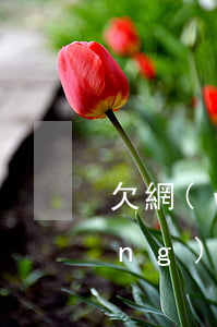 欠網(wǎng)貸1萬五左右(欠網(wǎng)貸1萬多塊錢怎么辦)