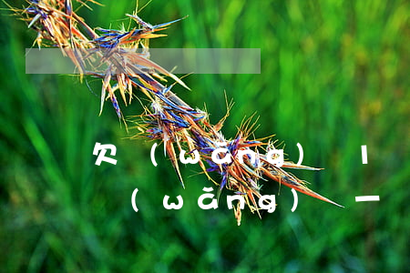 欠網(wǎng)貸1萬多塊錢判刑多久(欠網(wǎng)貸一萬多會(huì)坐牢嗎)