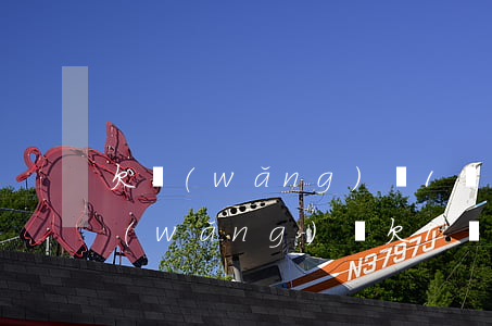 欠網(wǎng)貸1萬多怎么還不清了(網(wǎng)貸欠1萬還不上怎么辦)