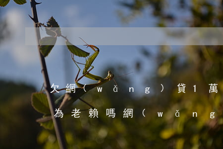 欠網(wǎng)貸1萬多會(huì)成為老賴嗎(網(wǎng)貸多少會(huì)成為老賴)