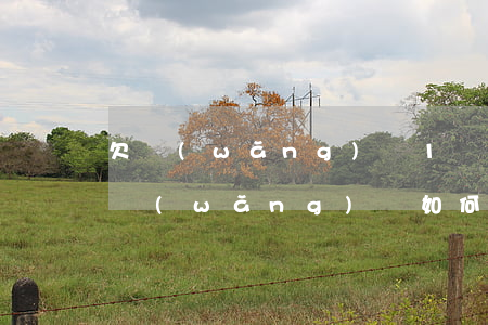 欠網(wǎng)貸1萬怎么上岸(欠十幾萬網(wǎng)貸如何上岸)