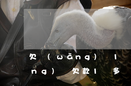 欠網(wǎng)貸1萬會被起訴(網(wǎng)貸欠款1萬多會被起訴嗎)