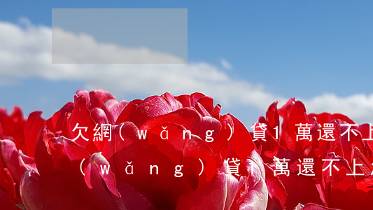 欠網(wǎng)貸1萬還不上怎么辦(欠網(wǎng)貸1萬還不上怎么辦)