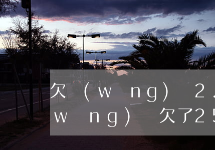 欠網(wǎng)貸2.75萬怎么辦(網(wǎng)貸欠了25萬怎么辦)