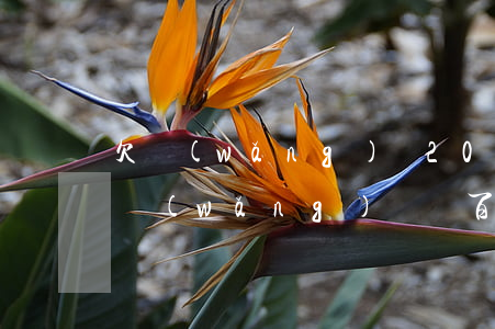 欠網(wǎng)貸2000不還有事嗎(欠網(wǎng)貸幾百萬還不了會(huì)怎么樣)