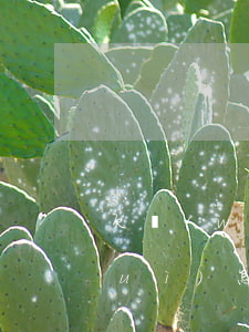 欠網(wǎng)貸2000元不還會(huì)怎么樣-欠網(wǎng)貸2000元不還會(huì)怎么樣嗎