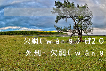 欠網(wǎng)貸2000元被依法判處死刑-欠網(wǎng)貸2000元被依法判處死刑的案例