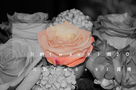 欠網(wǎng)貸2000塊不還會怎樣(欠網(wǎng)貸幾千塊錢不還會怎么樣)