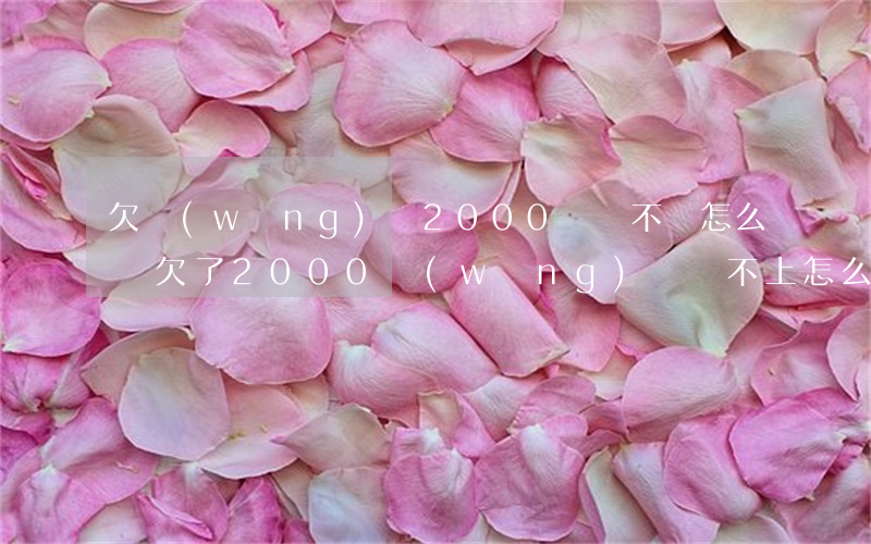 欠網(wǎng)貸2000塊錢不還怎么辦(欠了2000網(wǎng)貸還不上怎么辦)