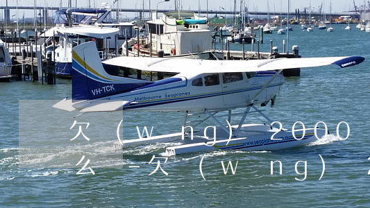 欠網(wǎng)貸2000塊錢還不上怎么辦-欠網(wǎng)貸2000塊錢還不上怎么辦呢