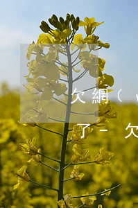 欠網(wǎng)貸2000或者一千還不了-欠網(wǎng)貸2000或者一千還不了怎么辦