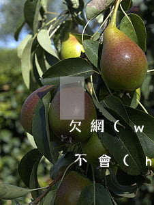 欠網(wǎng)貸2000會(huì)不會(huì)法院起訴(網(wǎng)貸欠款2000可以起訴嗎)