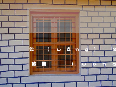 欠網(wǎng)貸2000會(huì)被告嗎(網(wǎng)貸欠2000會(huì)起訴嗎)