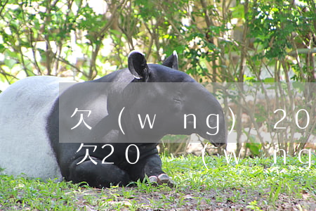 欠網(wǎng)貸20w不敢跟家里人說(欠20萬網(wǎng)貸不敢跟家里說,自己想起了)