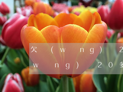 欠網(wǎng)貸20w怎么處理(欠網(wǎng)貸20多萬怎么辦)