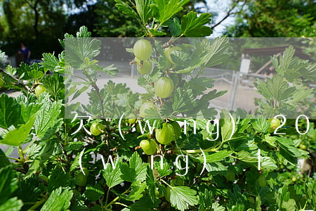 欠網(wǎng)貸20多個(gè)(欠網(wǎng)貸十幾萬(wàn))