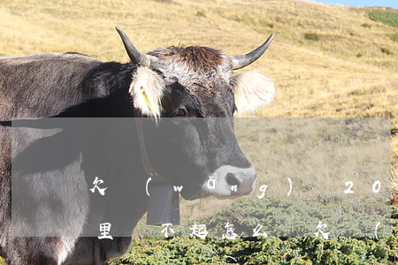 欠網(wǎng)貸20多萬(wàn)家里還不起怎么辦(欠網(wǎng)貸20多萬(wàn),現(xiàn)在還不清了怎么辦)