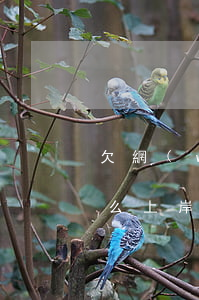欠網(wǎng)貸20多萬(wàn)怎么上岸(欠網(wǎng)貸二十多萬(wàn) 怎么一年內(nèi)上岸)