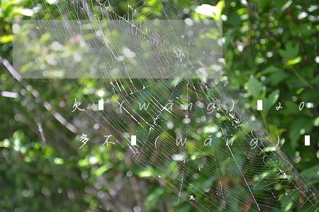 欠網(wǎng)貸20多萬(wàn)的多不(網(wǎng)貸欠十幾萬(wàn))