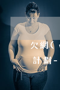 欠網(wǎng)貸20多萬怎么制定還款計劃-欠網(wǎng)貸20多萬怎么制定還款計劃呢