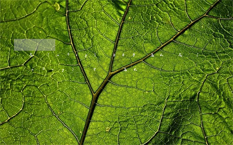 欠網(wǎng)貸20多萬怎么辦(欠網(wǎng)貸十幾萬怎么辦)