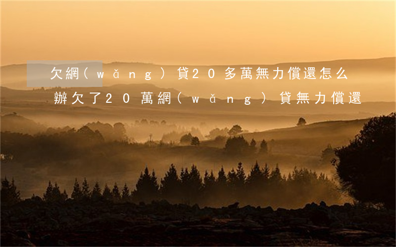 欠網(wǎng)貸20多萬無力償還怎么辦(欠了20萬網(wǎng)貸無力償還)