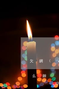 欠網(wǎng)貸20萬(wàn)了怎么辦