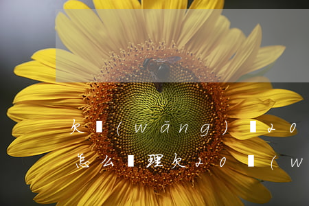 欠網(wǎng)貸20萬(wàn)到期怎么處理(欠20萬(wàn)的網(wǎng)貸幾年能還清)