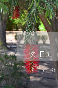 欠網(wǎng)貸20萬(wàn)永遠(yuǎn)不還有什么后果-欠網(wǎng)貸20萬(wàn)永遠(yuǎn)不還有什么后果嗎