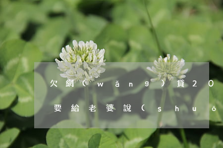 欠網(wǎng)貸20萬(wàn)要不要給老婆說(shuō)(媳婦網(wǎng)貸欠下幾十萬(wàn),丈夫要還嗎)