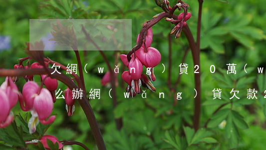 欠網(wǎng)貸20萬(wàn)該怎么辦(網(wǎng)貸欠款20萬(wàn))