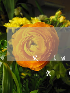 欠網(wǎng)貸20萬3年還不上怎么辦(欠網(wǎng)貸三十多萬還不起怎么辦)