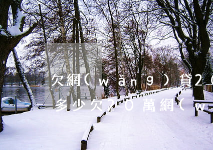 欠網(wǎng)貸20萬三年沒還利息是多少(欠20萬網(wǎng)貸不還最后會怎么樣)