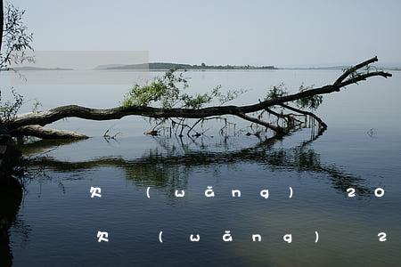 欠網(wǎng)貸20萬不還有什么后果(欠網(wǎng)貸20多萬,現(xiàn)在還不清了怎么辦)