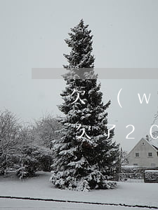 欠網(wǎng)貸20萬不還的后果是啥(欠了20萬網(wǎng)貸怎么辦)