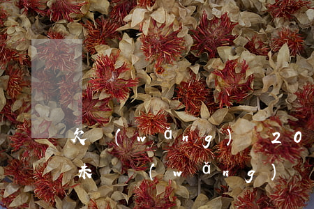 欠網(wǎng)貸20萬八個(gè)月未還(網(wǎng)貸欠了18萬)