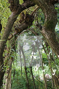 欠網(wǎng)貸20萬如何還?(欠網(wǎng)貸20萬怎么辦)